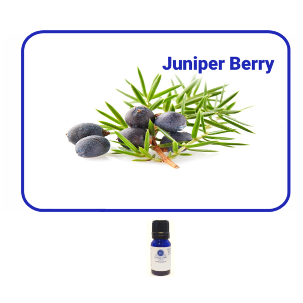 Juniper Berry Essential Oil Essentially Grateful