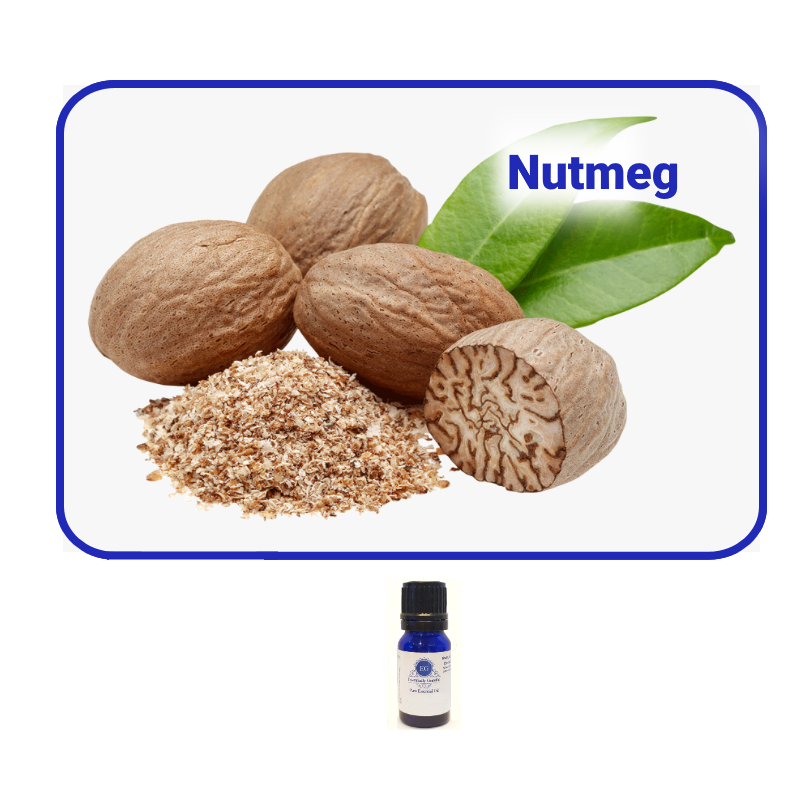 nutmeg-essential-oil.png